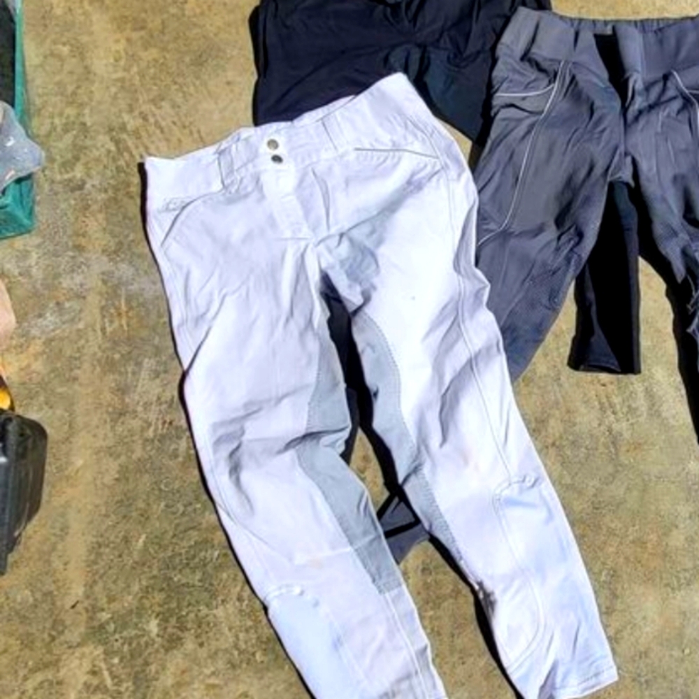 white fs riding breeches